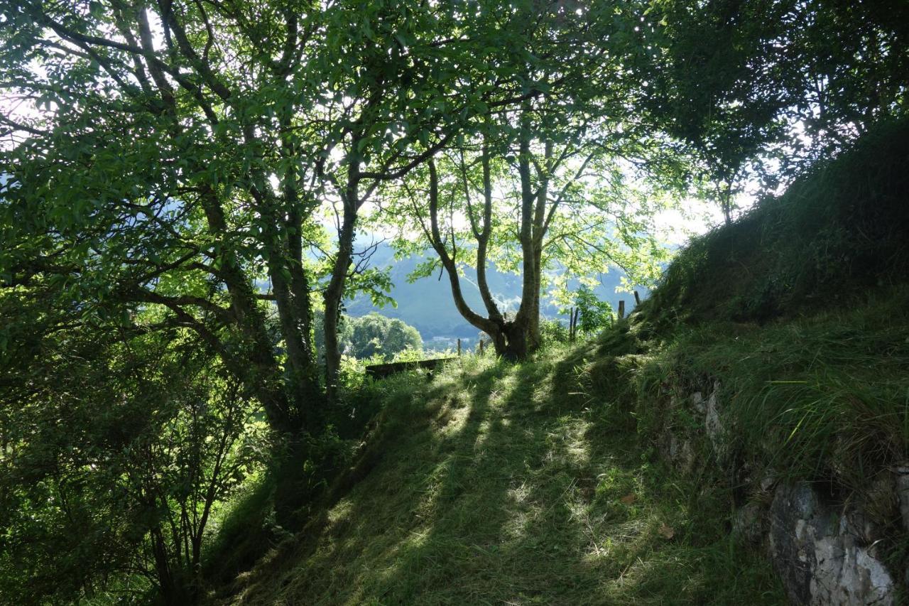 Gite Montagne Et Vie Bedous Exterior photo